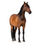 Life-size Horse 2 Cardboard Cutout