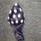 16" BIG POLKA DOTS JWL ASST LTX