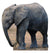 Baby Elephant -TALKING 55" x 54" Cutout