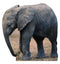 Baby Elephant -TALKING 55" x 54" Cutout