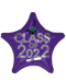 19" CLASS OF 2022 STAR PURPLE